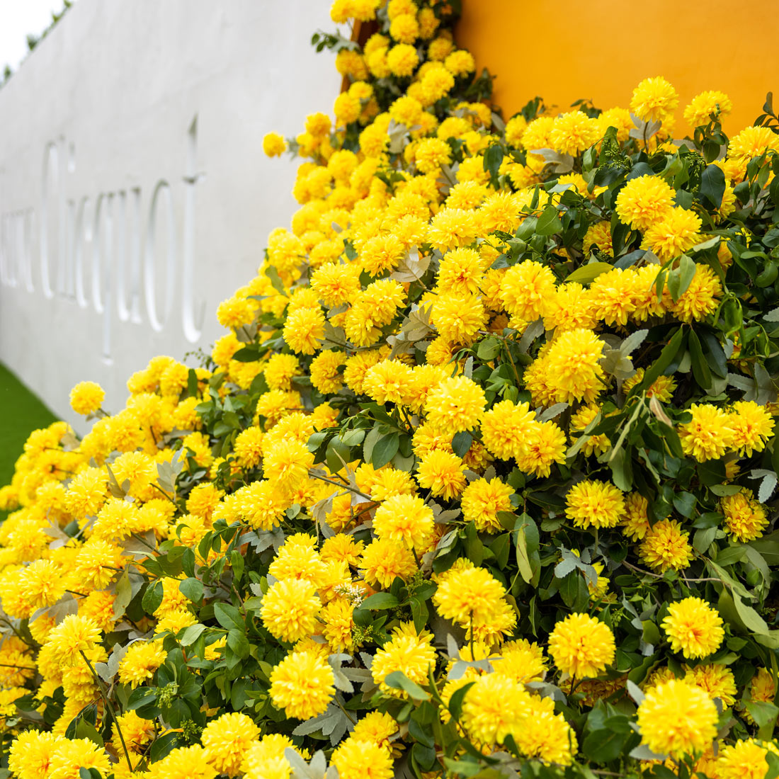 Yellow Flowers Veuve Clicquot
